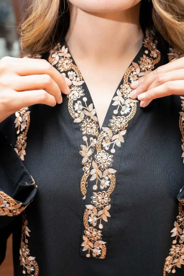 Fabric: Dhanak- Black Embroidery - Image 4