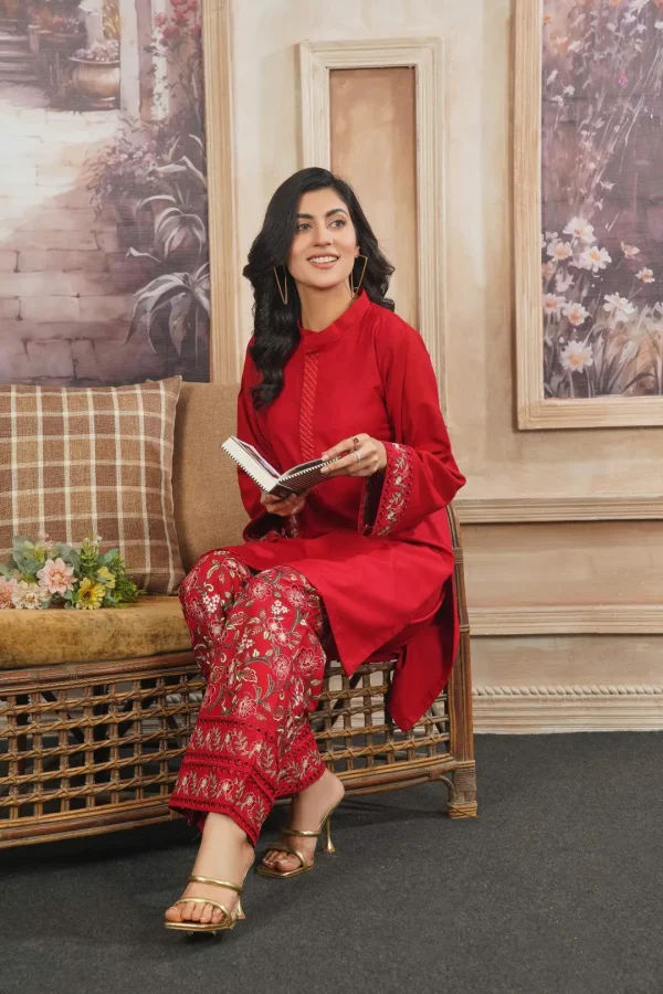 Fabric: Dhanak-Red Embroidery - Image 5